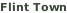Flint Town