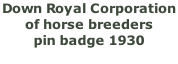 Down Royal Corporation  of horse breeders  pin badge 1930