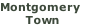 Montgomery  Town